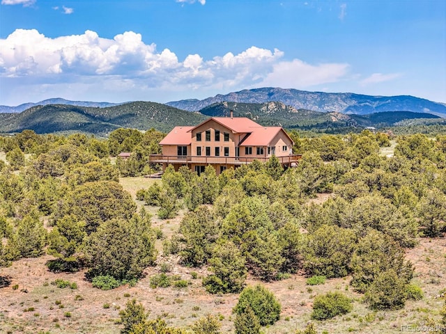 90 Riggs Rd, Westcliffe, CO 81252 - view of mountain background