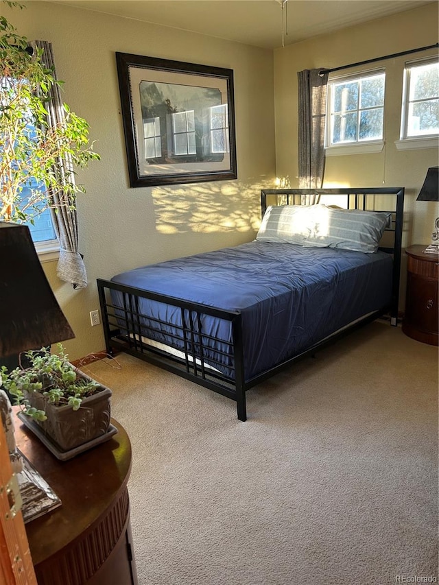 bedroom with carpet floors