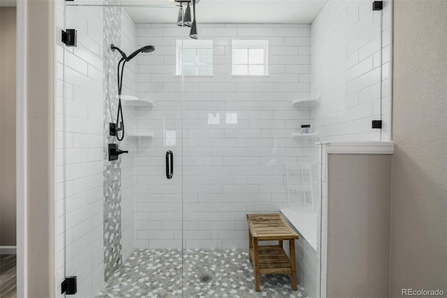 3059 Morningbird Ln, Castle Rock, CO 80109 - full bath featuring a shower stall