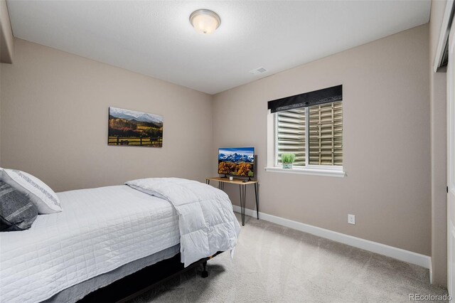 3059 Morningbird Ln, Castle Rock, CO 80109 - carpeted bedroom with baseboards