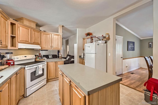 120 Blue Spruce Rd, Black Hawk, CO 80422 - photo 8