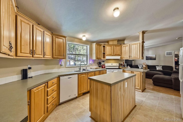 120 Blue Spruce Rd, Black Hawk, CO 80422 - photo 9