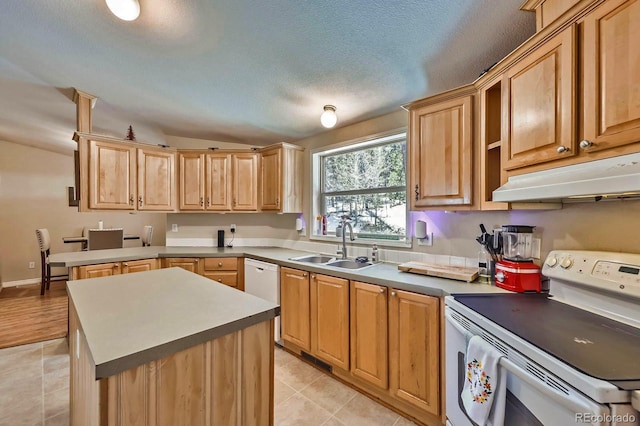 120 Blue Spruce Rd, Black Hawk, CO 80422 - photo 10