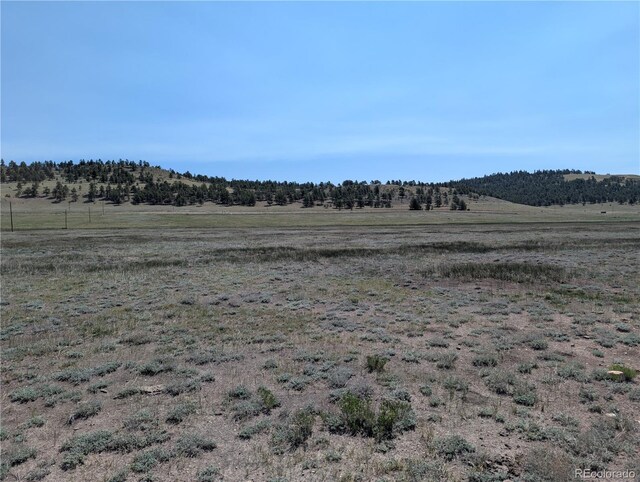 Co-9, Hartsel, CO 80449 - photo 4