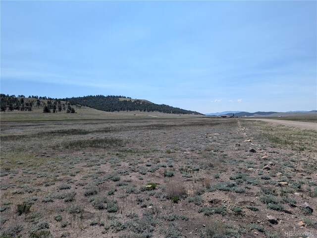 Co-9, Hartsel, CO 80449 - photo 5