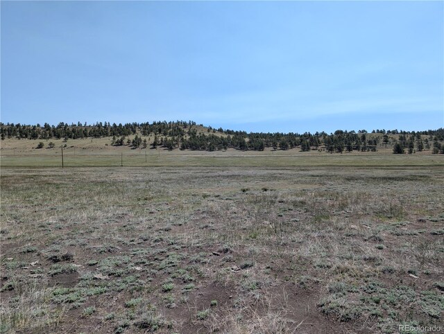 Co-9, Hartsel, CO 80449 - photo 6