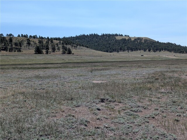 Co-9, Hartsel, CO 80449 - photo 7
