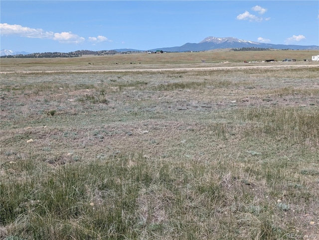 Co-9, Hartsel, CO 80449 - photo 8