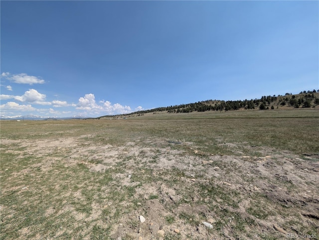 Co-9, Hartsel, CO 80449 - photo 10