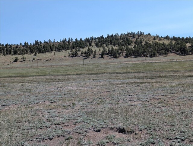 Co-9, Hartsel, CO 80449 - photo 14
