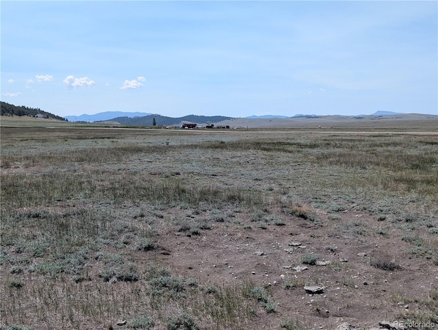 Co-9, Hartsel, CO 80449 - photo 15