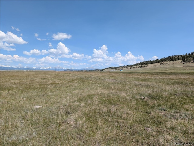 Co-9, Hartsel, CO 80449 - photo 17