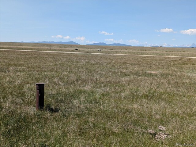 Co-9, Hartsel, CO 80449 - photo 18