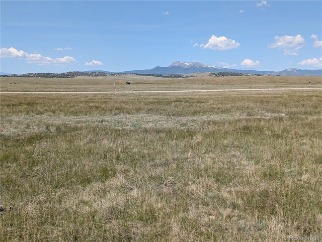 Co-9, Hartsel, CO 80449 - photo 19
