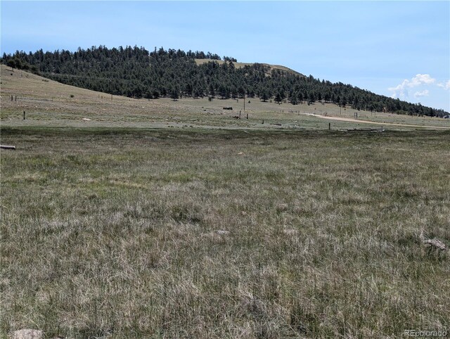 Co-9, Hartsel, CO 80449 - photo 20