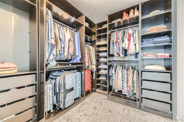 7360 S Old Hammer Way, Aurora, CO 80016 - view of spacious closet