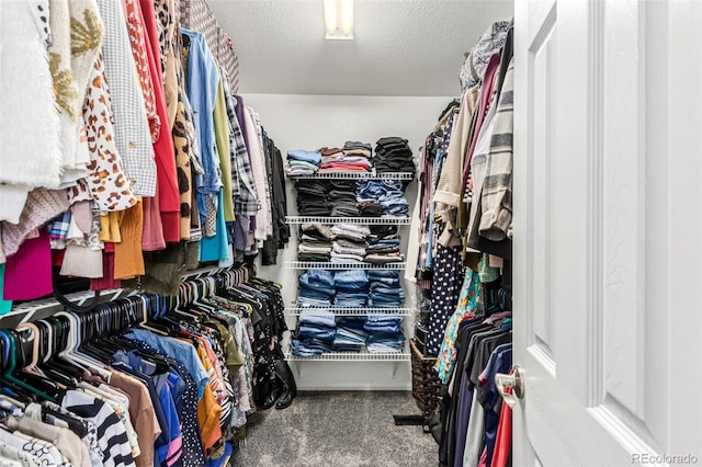 10545 Madison St, Thornton, CO 80233 - photo 28