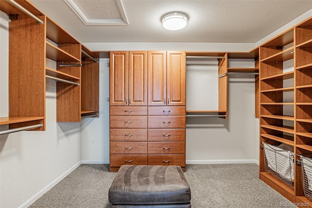 10272 Greenfield Cir, Parker, CO 80134 - walk in closet with carpet floors