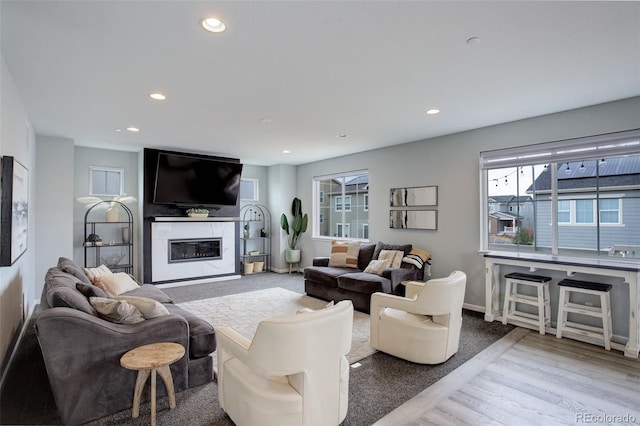 living area featuring baseboards, a fireplace, wood finished floors, and recessed lighting