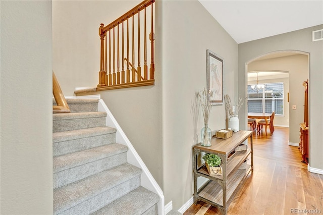 1033 Petras St, Erie, CO 80516 - photo 12