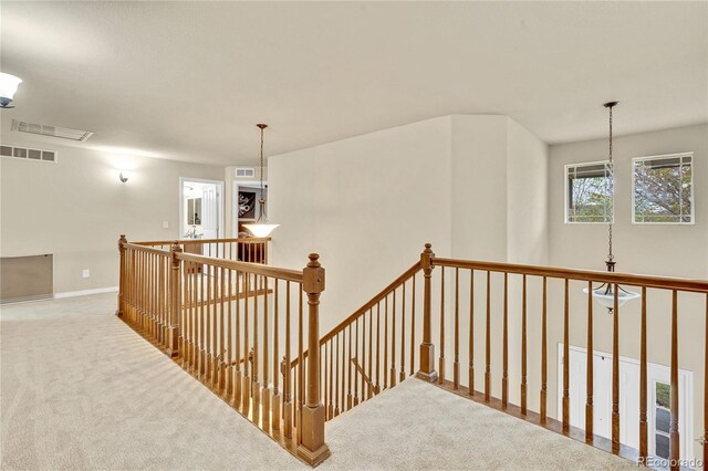 1033 Petras St, Erie, CO 80516 - photo 20