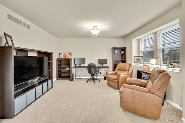 1033 Petras St, Erie, CO 80516 - photo 23