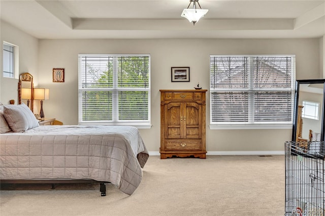 1033 Petras St, Erie, CO 80516 - photo 24