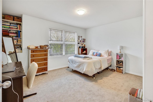 1033 Petras St, Erie, CO 80516 - photo 30
