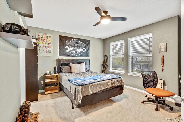 1033 Petras St, Erie, CO 80516 - photo 34