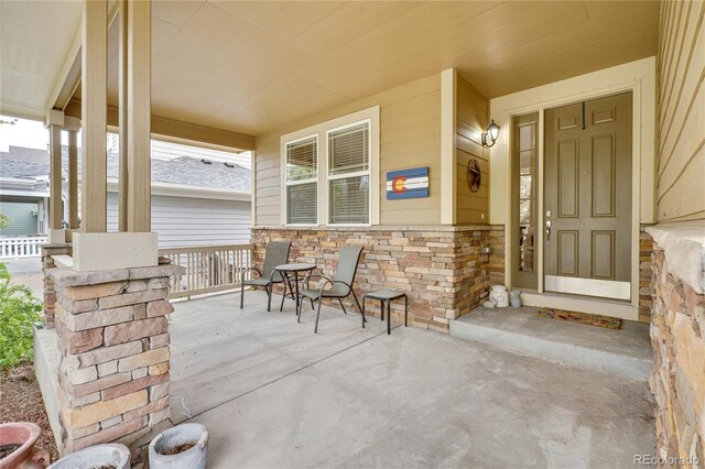 1033 Petras St, Erie, CO 80516 - photo 37
