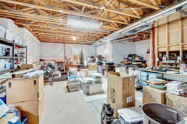 1033 Petras St, Erie, CO 80516 - photo 42