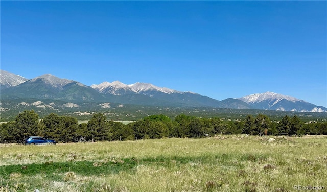 9982 Mint Ln, Salida, CO 81201