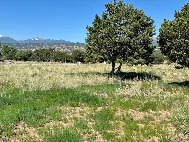 9982 Mint Ln, Salida, CO 81201