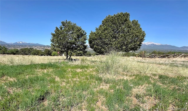 9982 Mint Ln, Salida, CO 81201