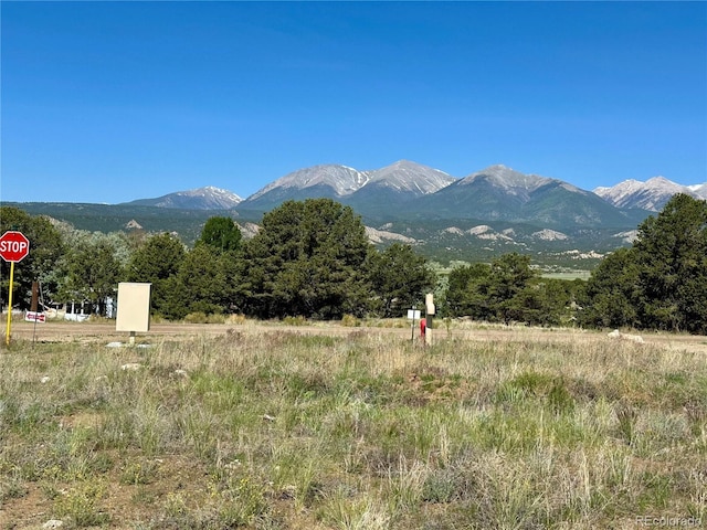 9982 Mint Ln, Salida, CO 81201