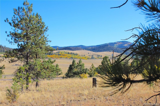 59 Whip Way, Hartsel, CO 80449 - mountain view