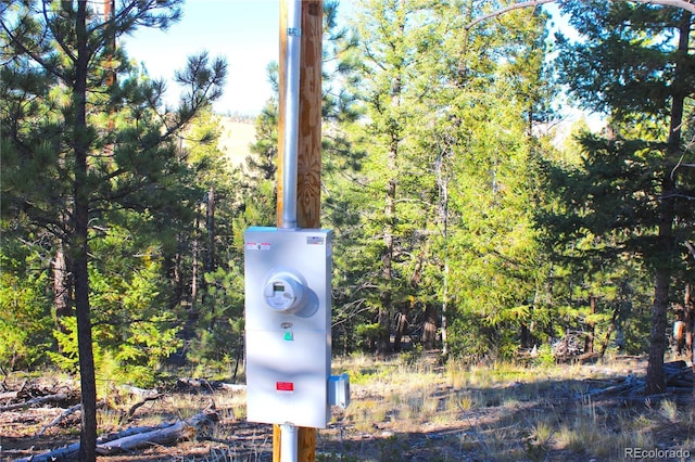 59 Whip Way, Hartsel, CO 80449 - exterior view of electric meter and a view of trees