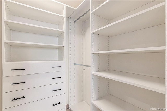 view of spacious closet