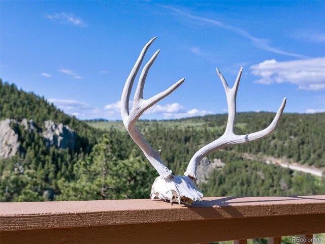 6066 Crawford Gulch Rd, Golden, CO 80403 - exterior view of a forest