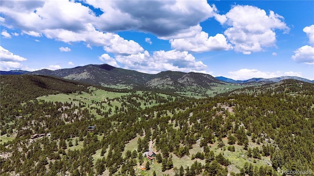 6066 Crawford Gulch Rd, Golden, CO 80403 - view of mountain backdrop featuring a heavily wooded area