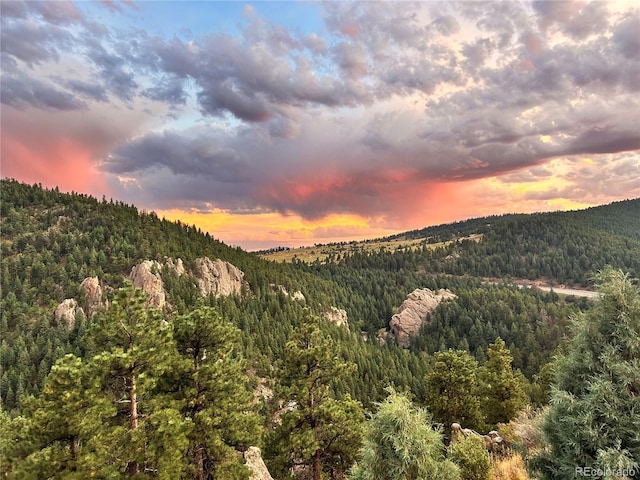 6066 Crawford Gulch Rd, Golden, CO 80403 - mountain view featuring a heavily wooded area