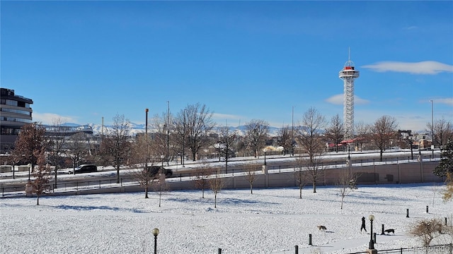 view of yard layered in snow