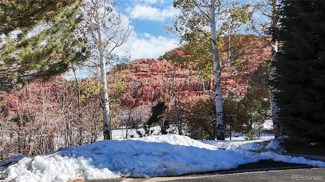 view of snowy view