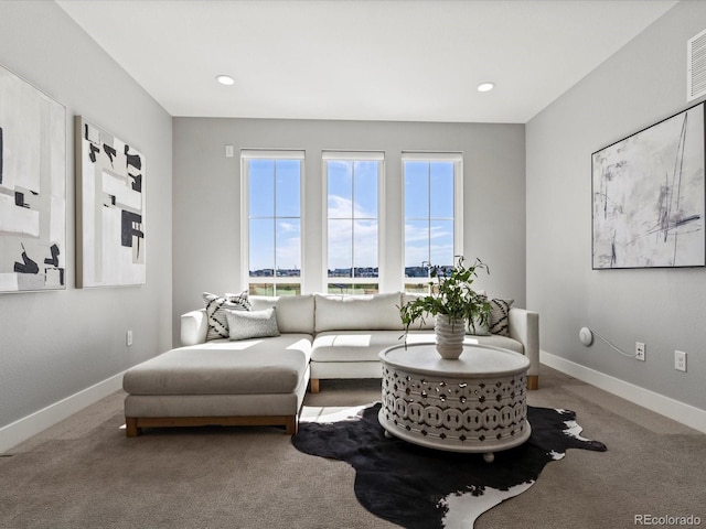 5835 Chester Way, Denver, CO 80238 - photo 17