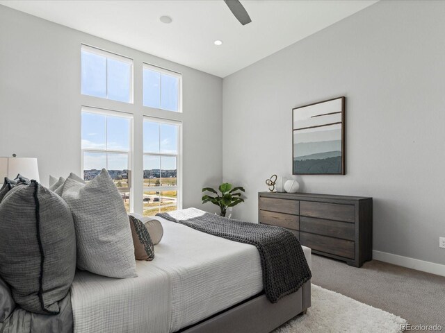 5835 Chester Way, Denver, CO 80238 - photo 19