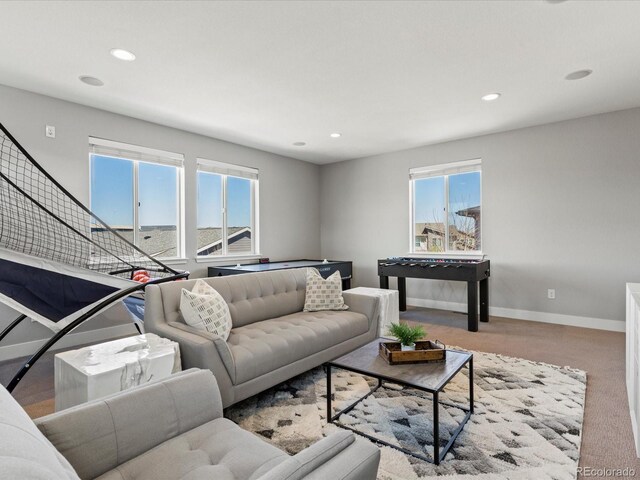 5835 Chester Way, Denver, CO 80238 - photo 29