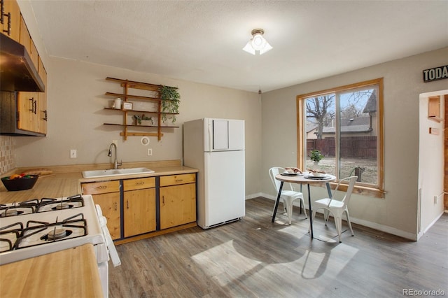 kitchen featuring light countertops, white appliances, a sink, open shelves, and ventilation hood