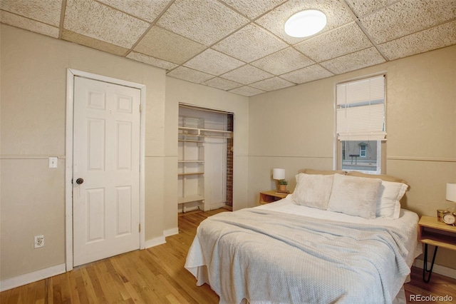 bedroom with baseboards, a closet, wood finished floors, and a paneled ceiling