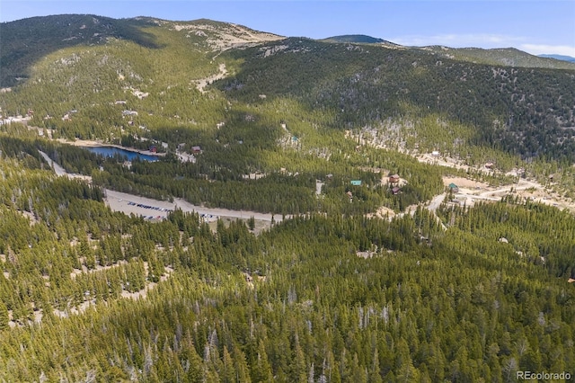 1 Nebraska Cir, Idaho Springs, CO 80452