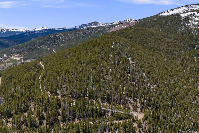 1 Nebraska Cir, Idaho Springs, CO 80452
